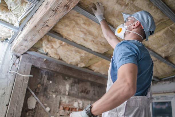 Best Spray Foam Insulation in Dundee, NY