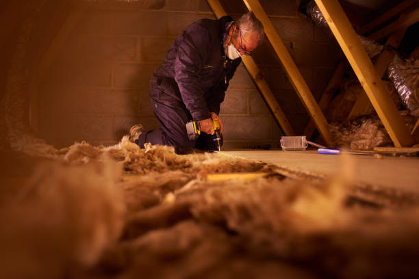 Best Specialized Insulation Services in Dundee, NY