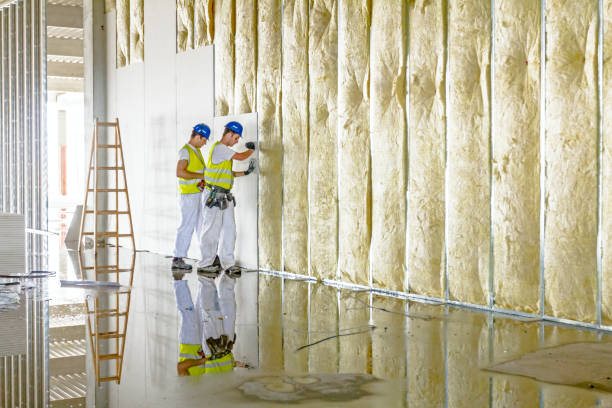 Best Eco-Friendly Insulation in Dundee, NY